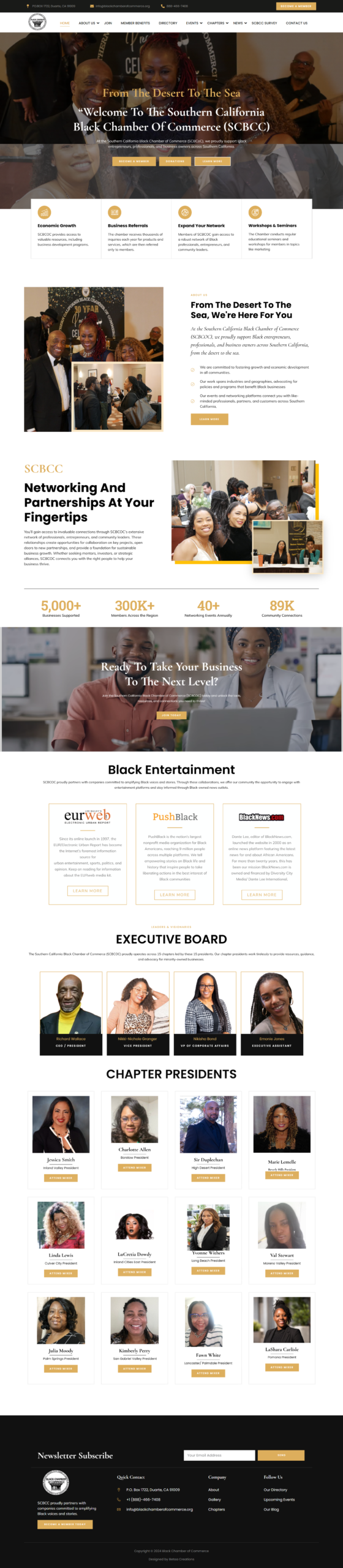 Attention Deficit Geniuses website homepage