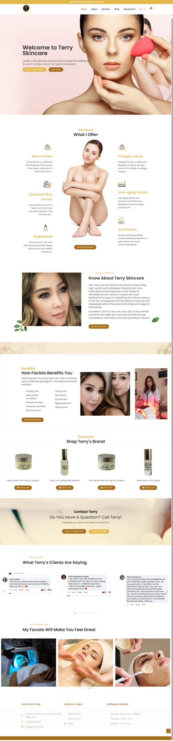 Terry Skin website homepage